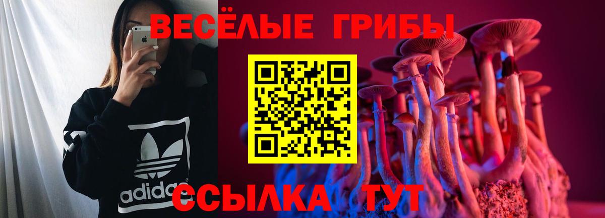 Ухта  Псилоцибиновые грибы ЛСД  Вход с VPN 